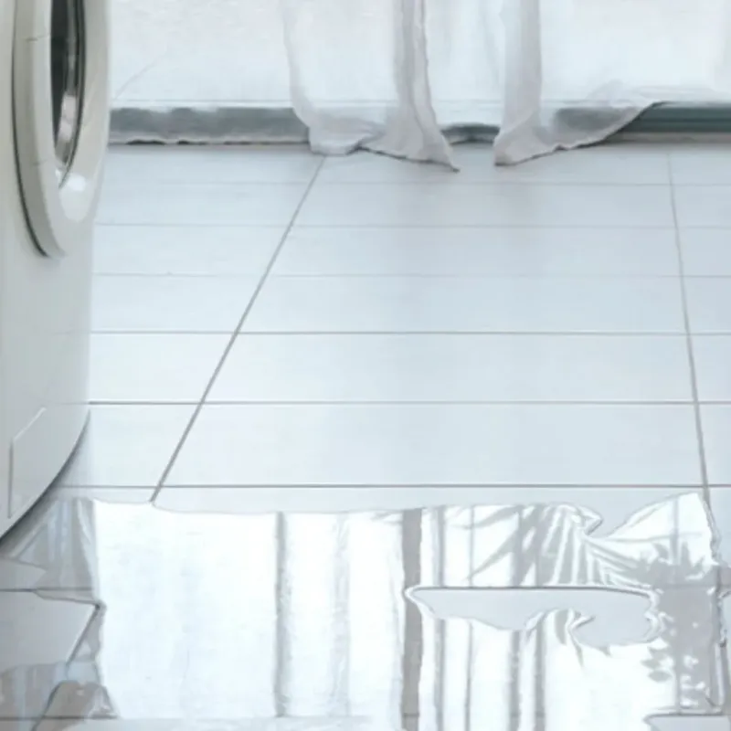 Appliance Leak Cleanup in Lauderdale County, TN