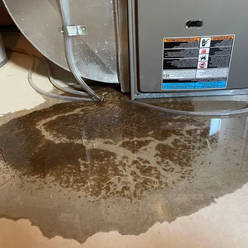 Pipe Burst and Leak Restoration in Lauderdale County, TN