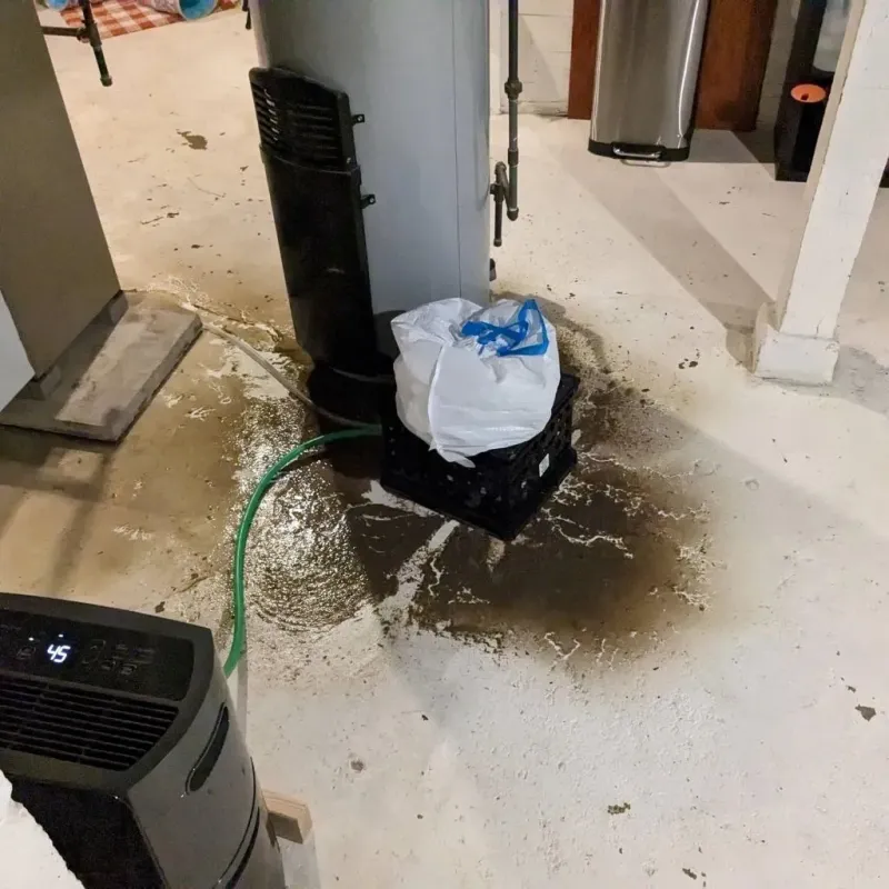Sewage Backup Cleanup Service in Lauderdale County, TN